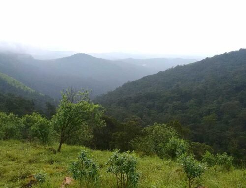 Top Things to Do in Kollur During Your Visit